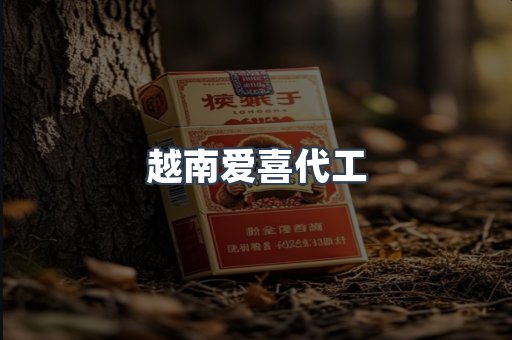 越南爱喜代工